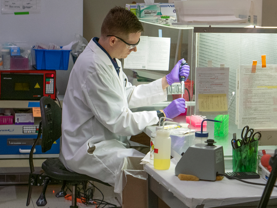 David Hogan examines soil samples in a lab