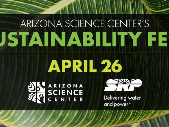 Sustainability Fest