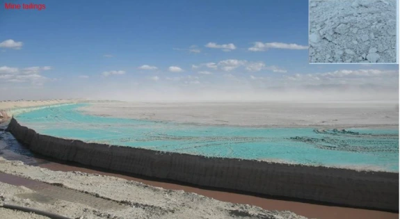 Mineral carbonation on mine tailings