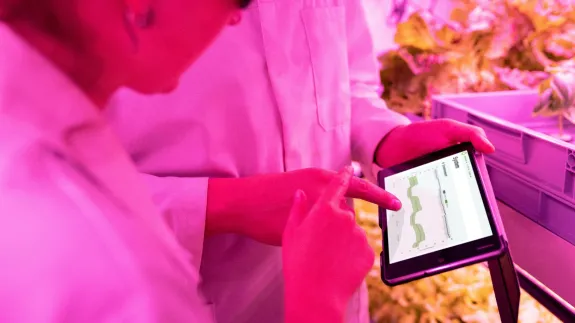 Scientists Checking Data
