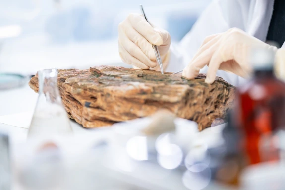Scientist studying minerals in a lab