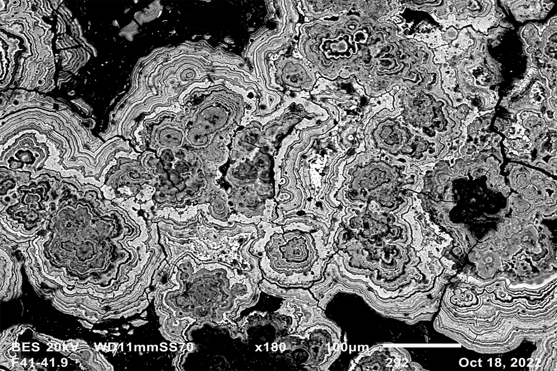 SEM Backscatter image of a seafloor nodule