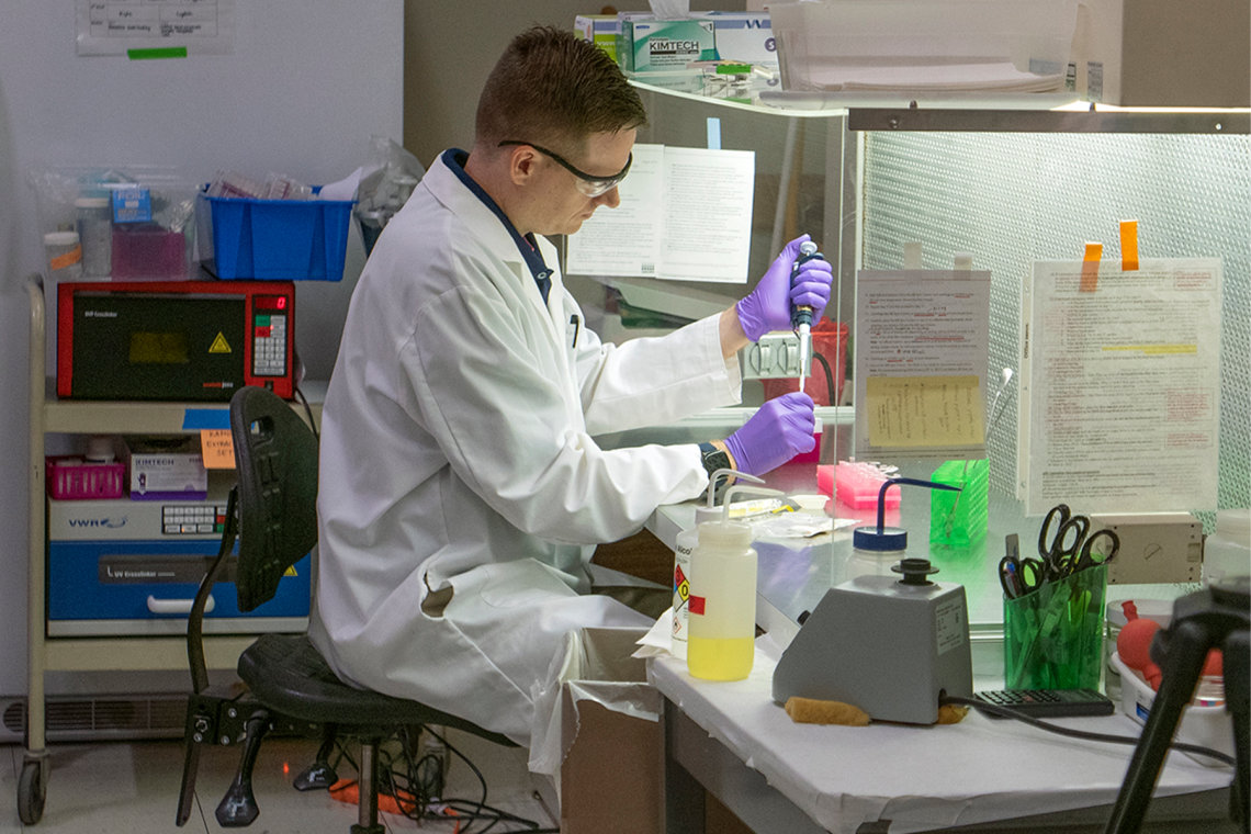 David Hogan examines soil samples in a lab