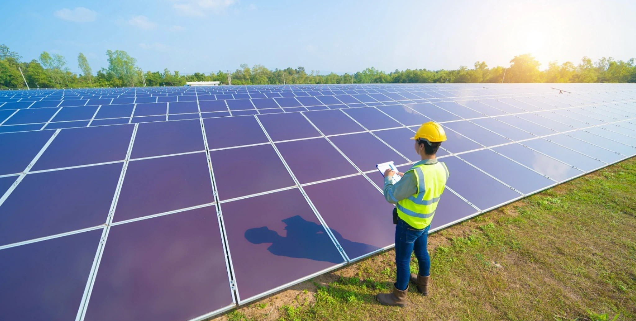 engineer analyzing solar panels