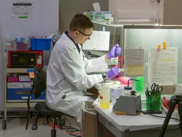 David Hogan examining soil samples in the lab