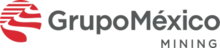 Grupo Mexico